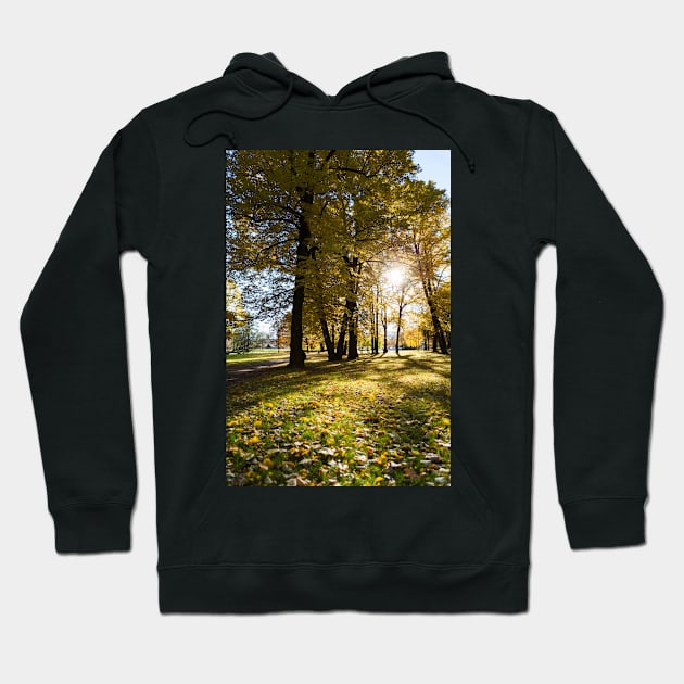 Autumn in Helsinki Hoodie by ansaharju